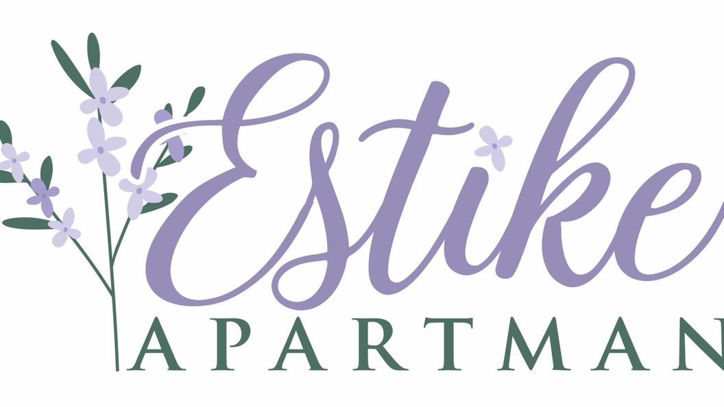 Estike Apartman Makó (1)