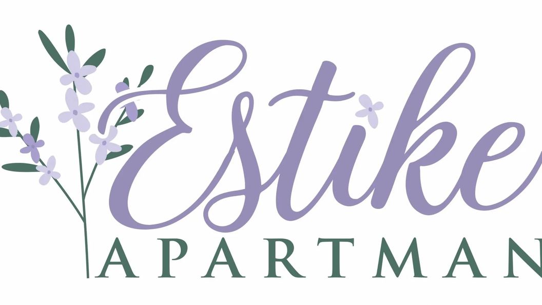 Estike Apartman Makó (1)