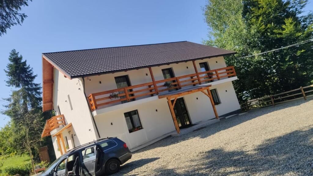 Pensiunea Teodora Moisei (1)