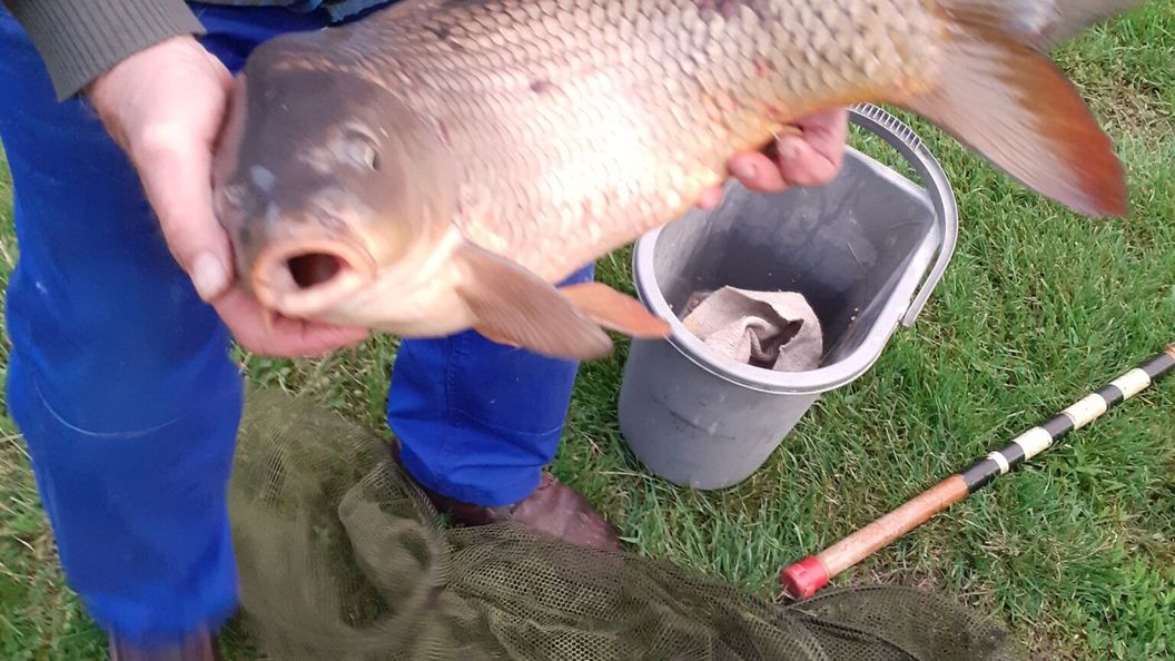 Művészház Nyaraló Békésszentandrás (1)