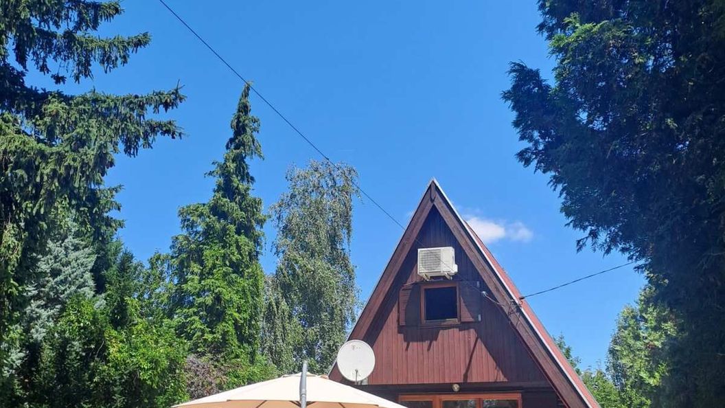 Diófasor Nyaraló Balatonvilágos (1)