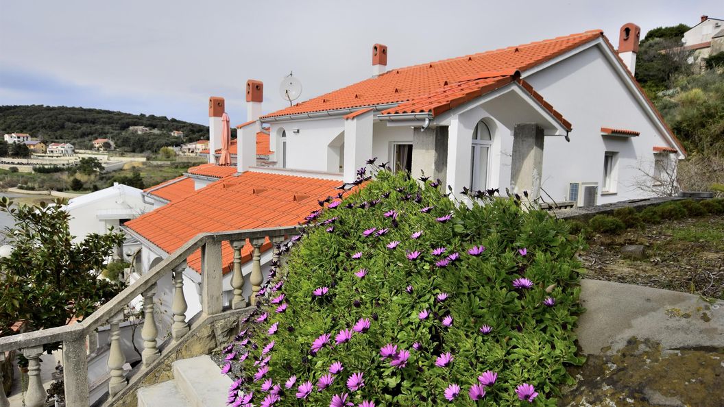 Apartment Vidas Palit (1)