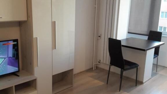 Delightful Studio Grigorescu București (1)