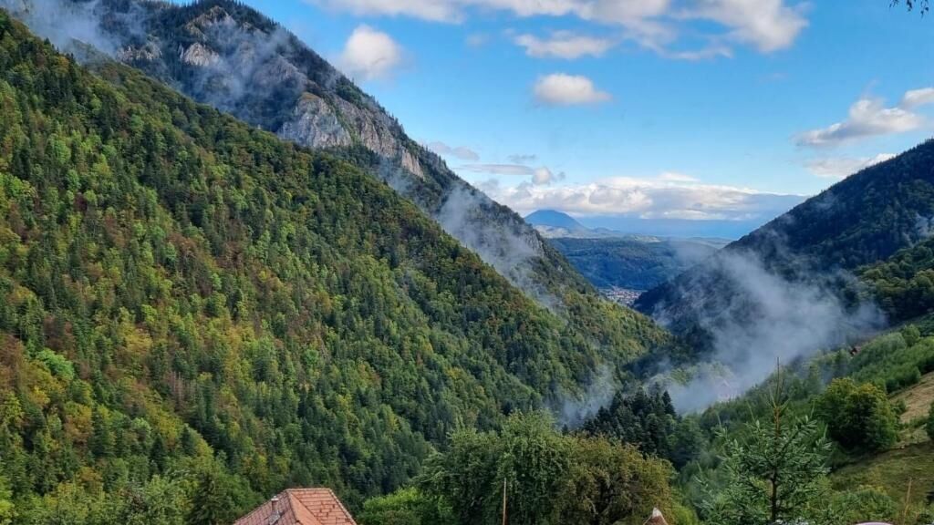 Pensiunea Mosorel Măgura (1)