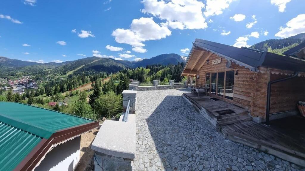 Cabanele Borsa View  (1)