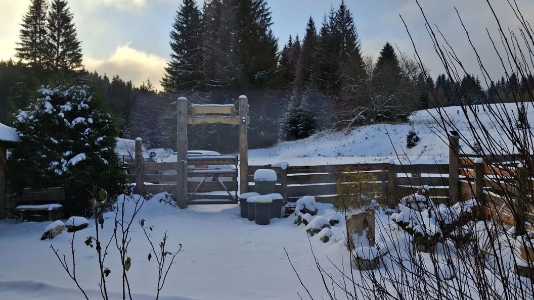 Pensjonat Leśniczówka Zieleniec (1)