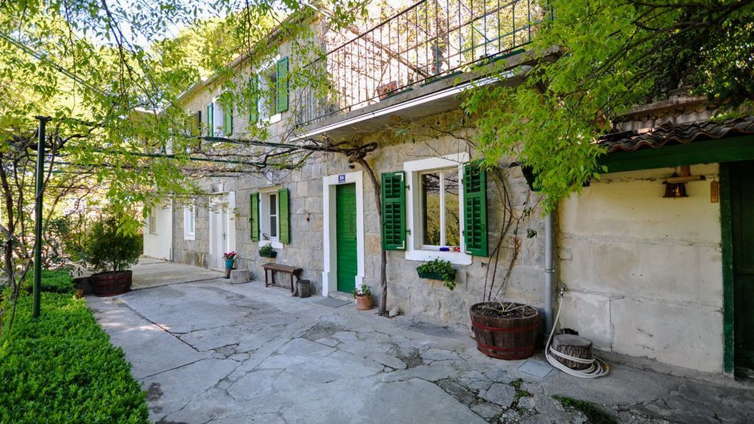 Apartment Nature Slime (1)