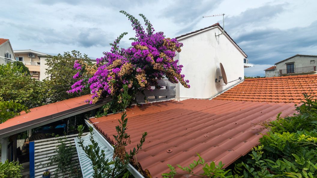 House Zeljko Sucuraj (1)