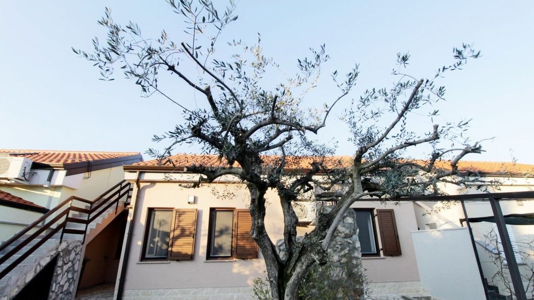 Apartments Sea view Melita Monterosso Crveni Vrh (1)