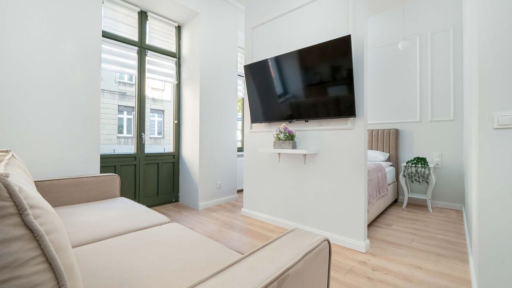 Radwańska 12 | Jasne studio | Przyjazne zwierzętom Łódź (1)