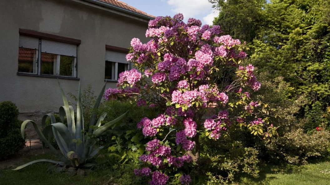 Rooms Branka Križevci (1)