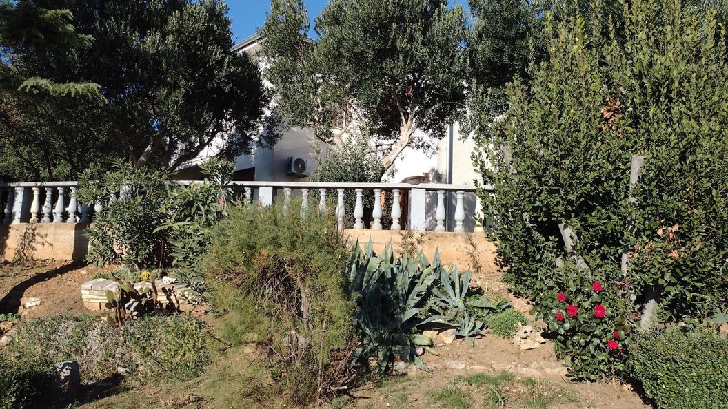 Apartment Anchi Povile (1)