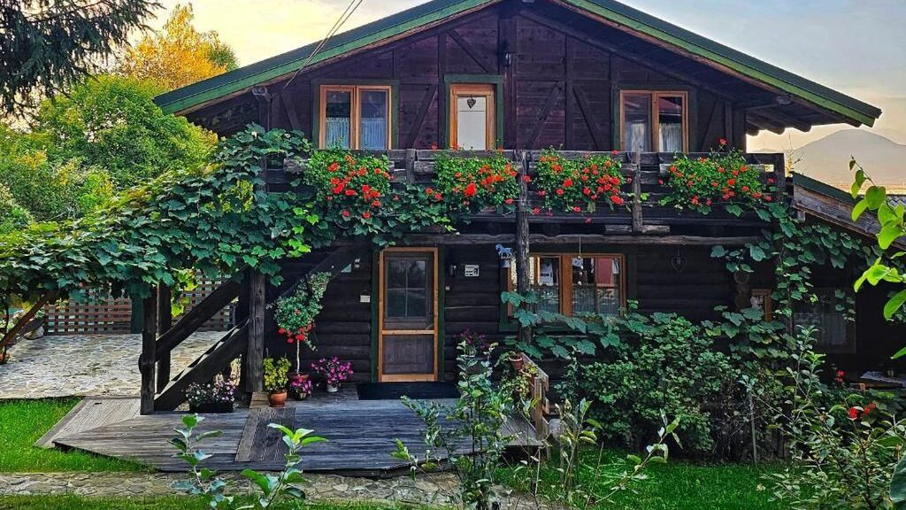 Cabana Bendis Râșnov (1)