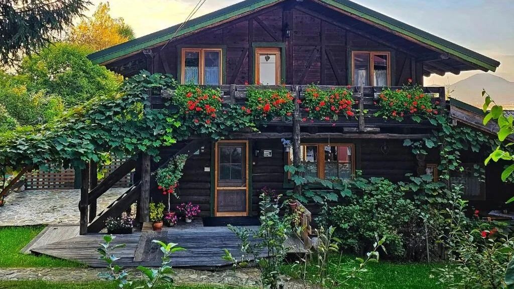 Cabana Bendis Râșnov (1)