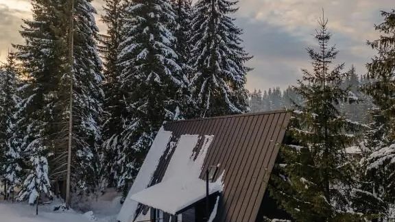 Black Raven Cabin Toplița (1)