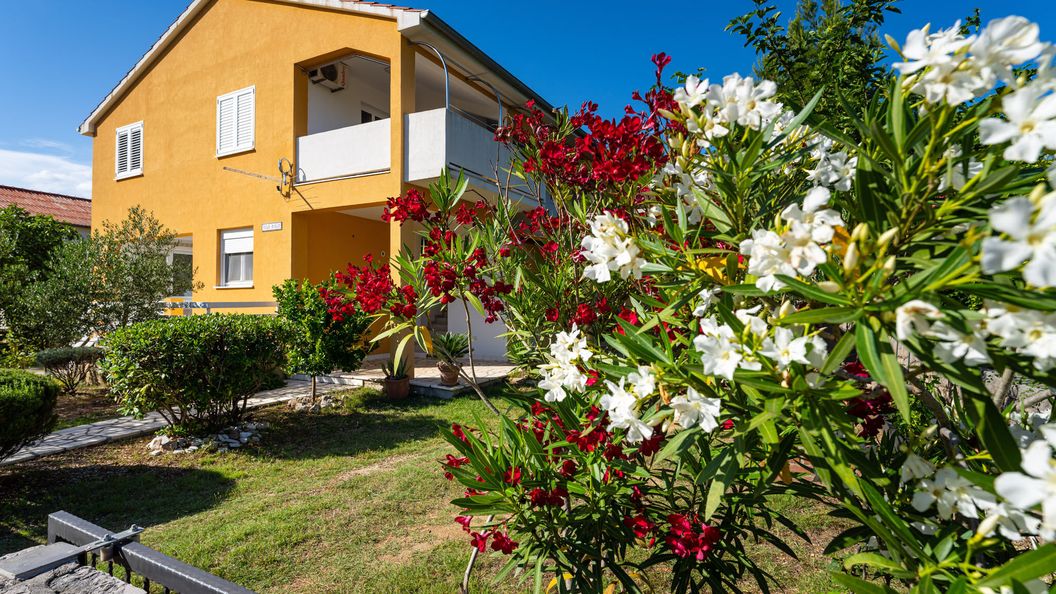 Apartments Agava Seline (1)