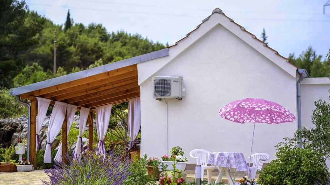 House Marie's Lavander Dream Raslina (1)