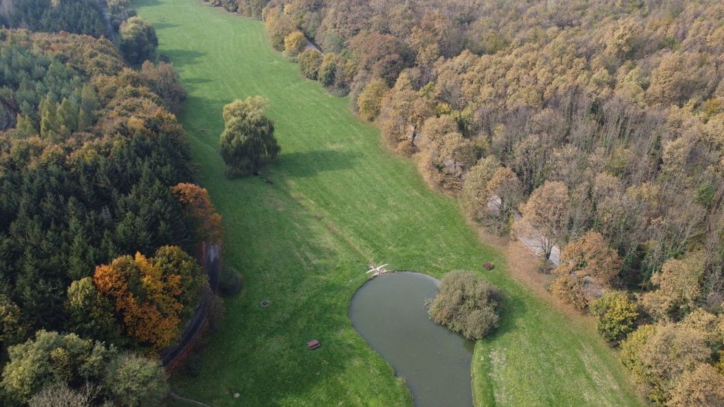 Alsóerdő Villa Resort Zalaegerszeg (1)