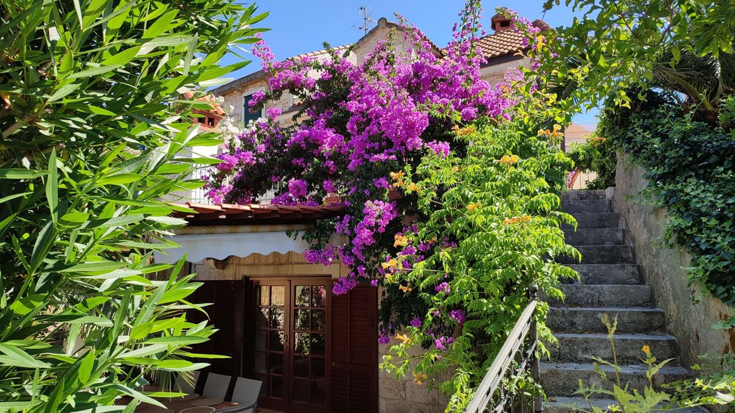 Nyaralóház A Tenger Mellett Sutivan, Brac - 23655 Sutivan (1)