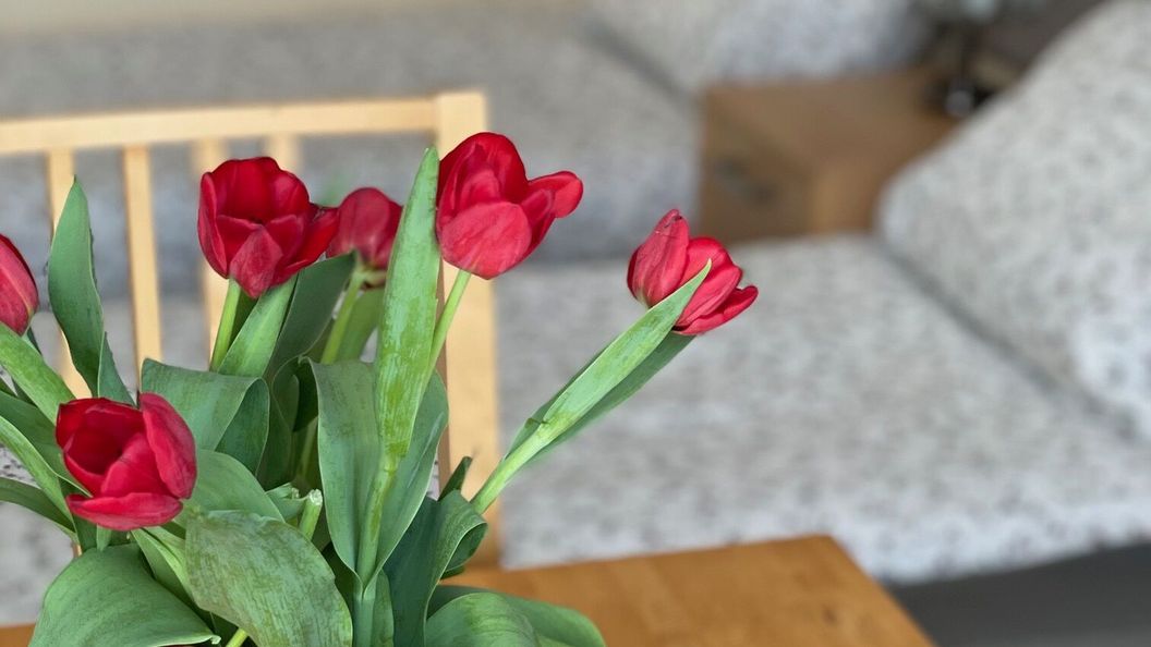 Willa Wiosenna Kołobrzeg (1)