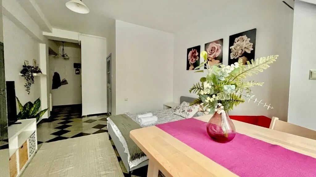 Victoriei spacious studio București (1)