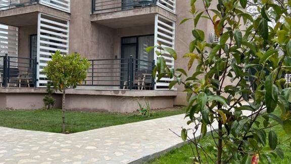 Complex Sea Star 2 Mai (1)