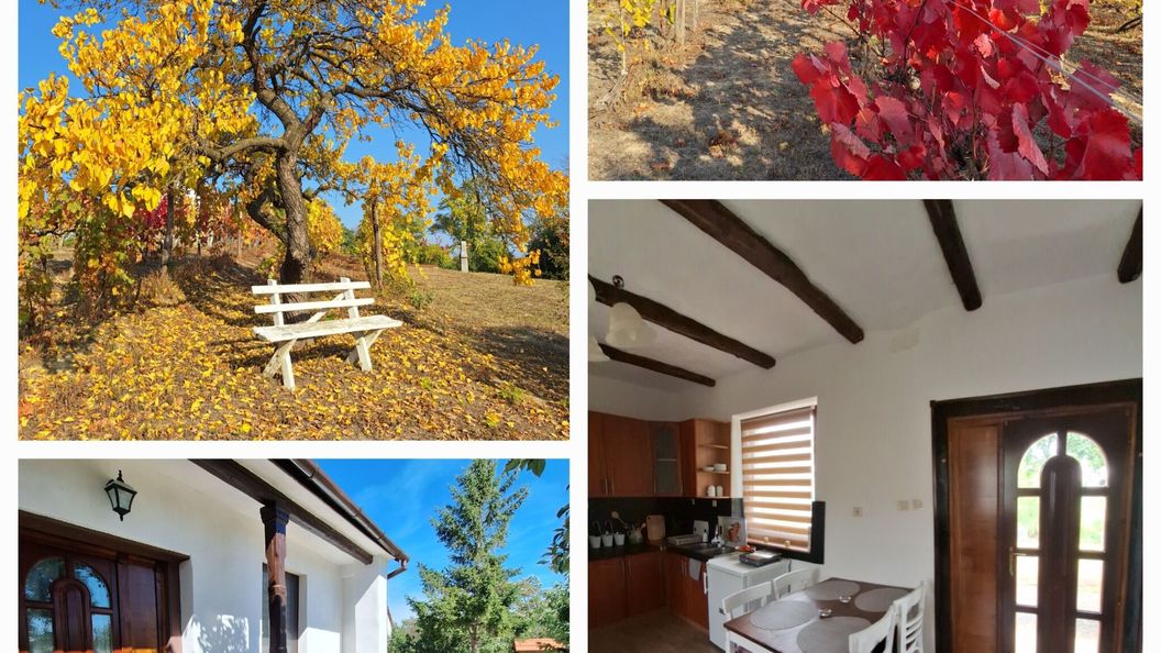 Mi kis lakunk Vendégház Várdomb (1)