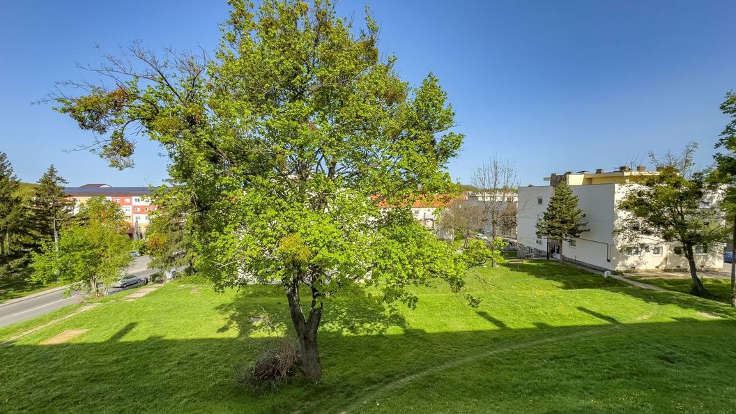 Becky Apartman Komló (1)