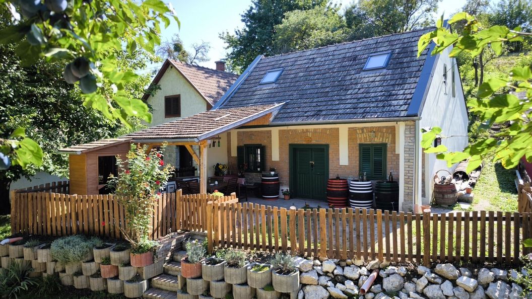 Borvirág Vendégház Bakonypéterd (1)