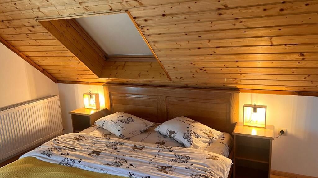 Cabana Serenity Colibița (1)