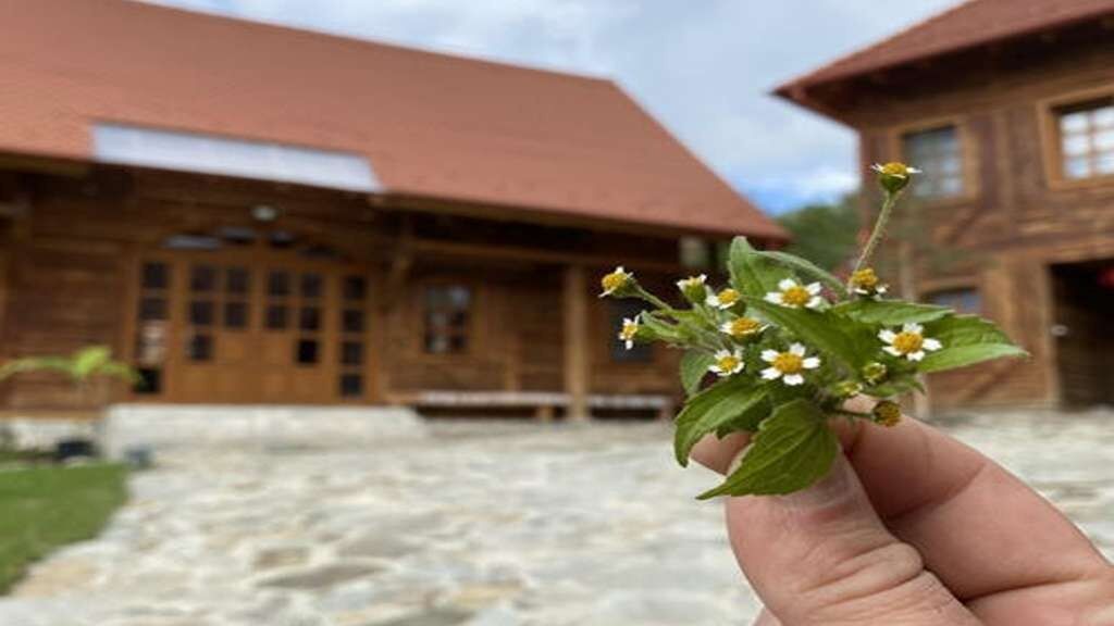 Casă de oaspeți Szénatároló Șiclod (1)