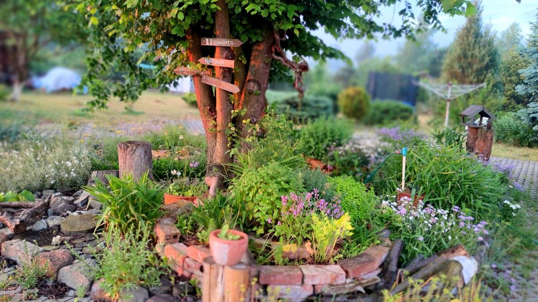 Domki całoroczne Żurawisko Jesiona (1)