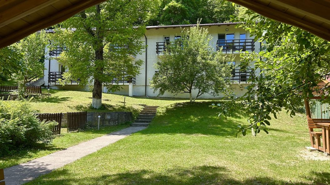 Casa Flori de Sare Slănic (1)