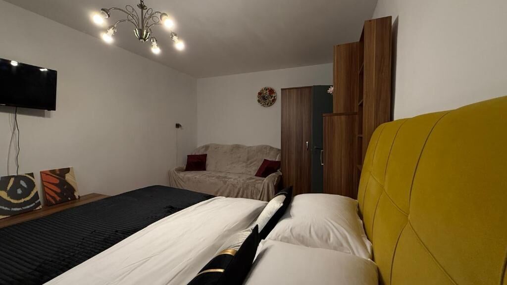 Studio Campus Confort Timișoara (1)