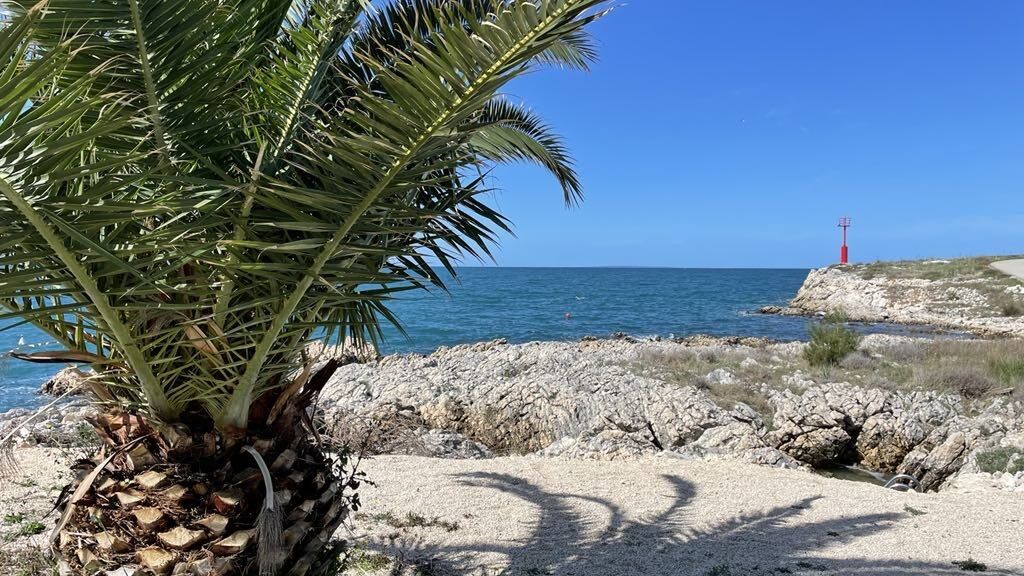 Apartman Vene Povljana (1)