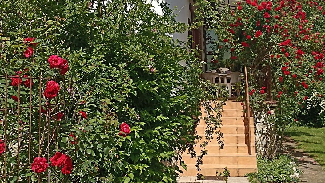 Vad Lali Lak Herend (1)