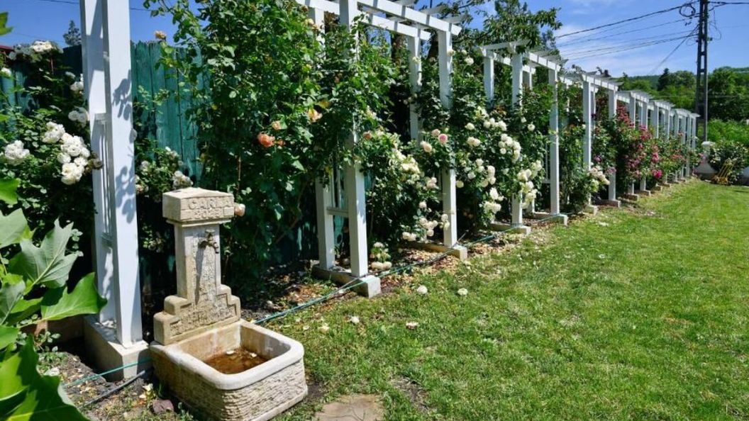 Pensiunea Carla Sărata-Monteoru (1)