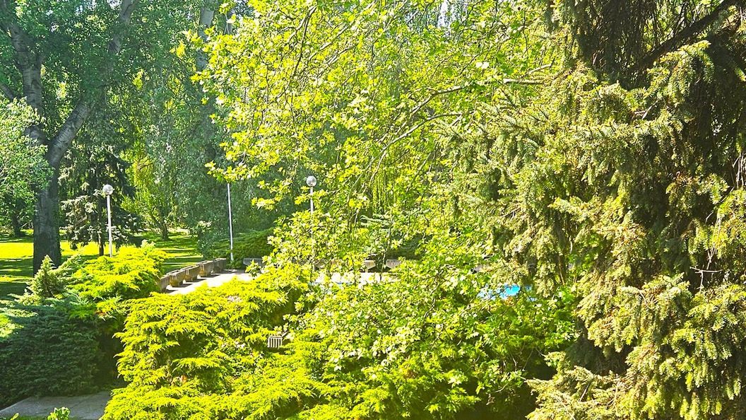 Stúdió 27 Apartman Csopak (1)