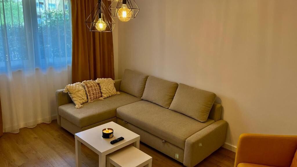 Alexander Cozy Apartment Mediaș (1)