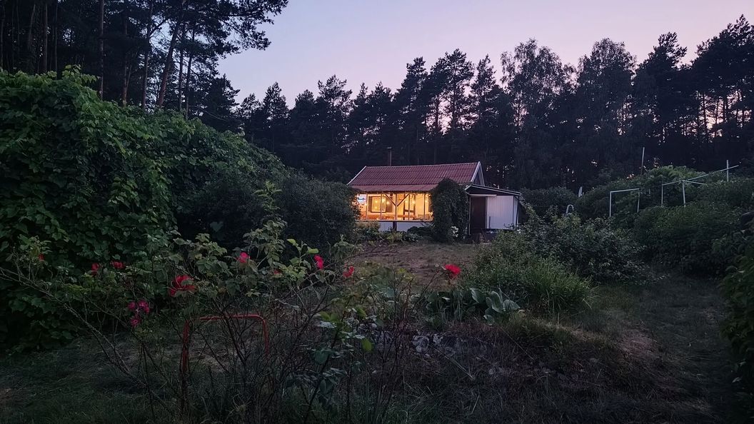 SUPy, Krokodyl & Las Trzebiechowo (1)