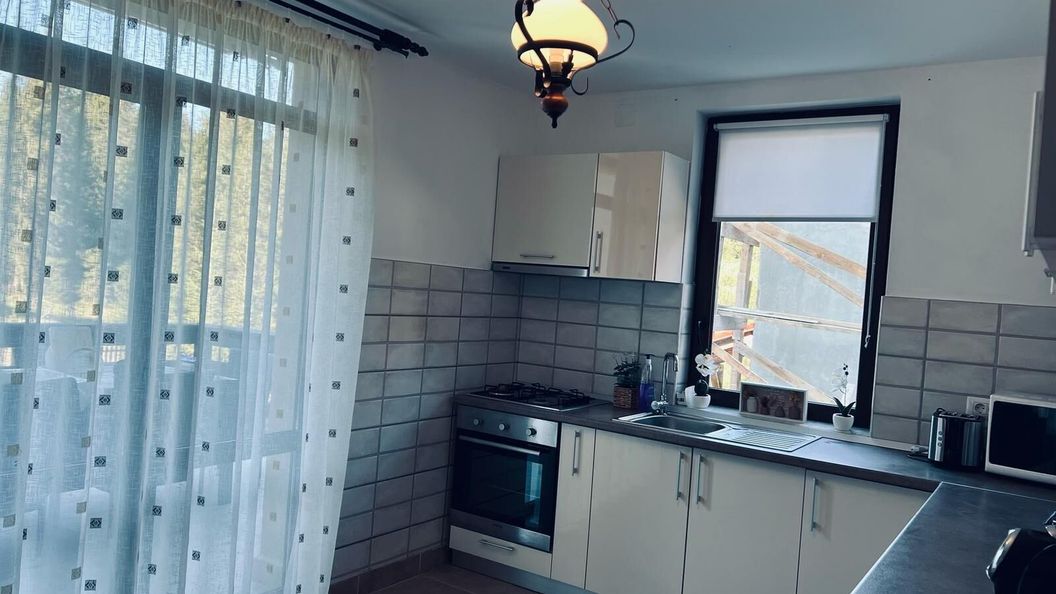 Vila Alex Arieseni Vârtop (1)