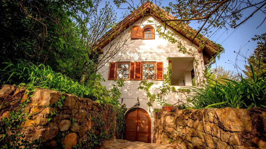 Vadszőlő - Wild Grape Vendégház Badacsonyörs (1)