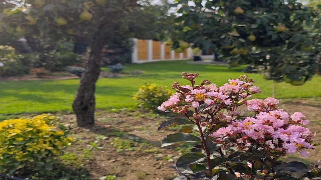 Gili Home Timisoara (1)