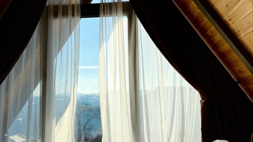 Cabana Refugiu de Munte Albac  (1)