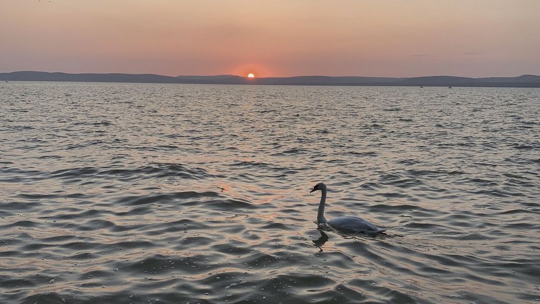 Lakeside Home Apartman Balatonszárszó (1)