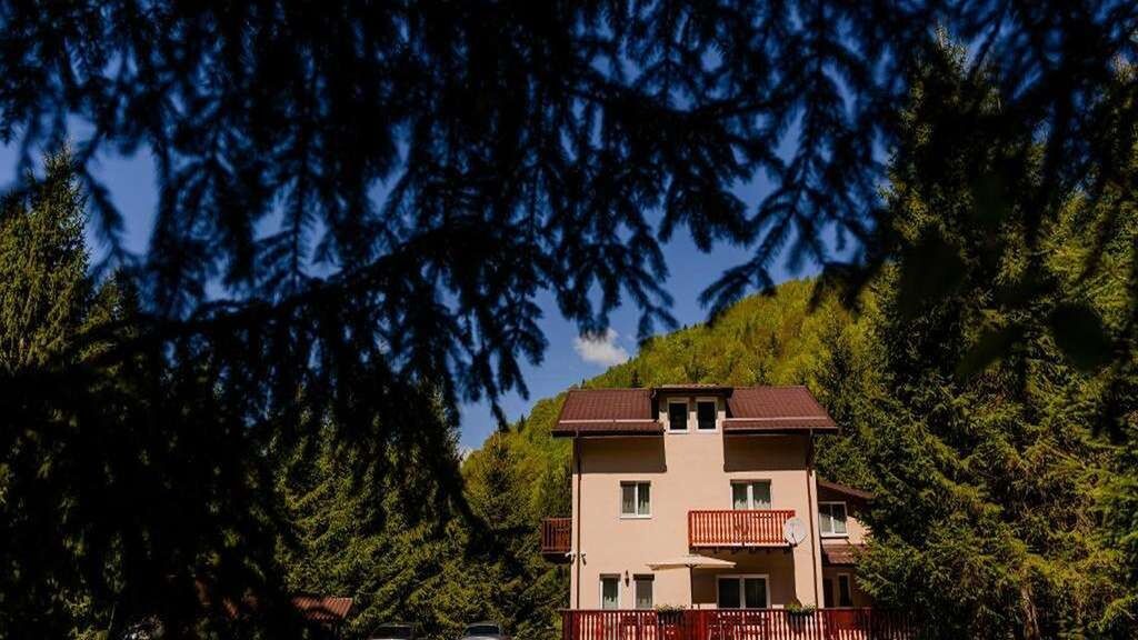 Cabana ZIP Zărnești (1)