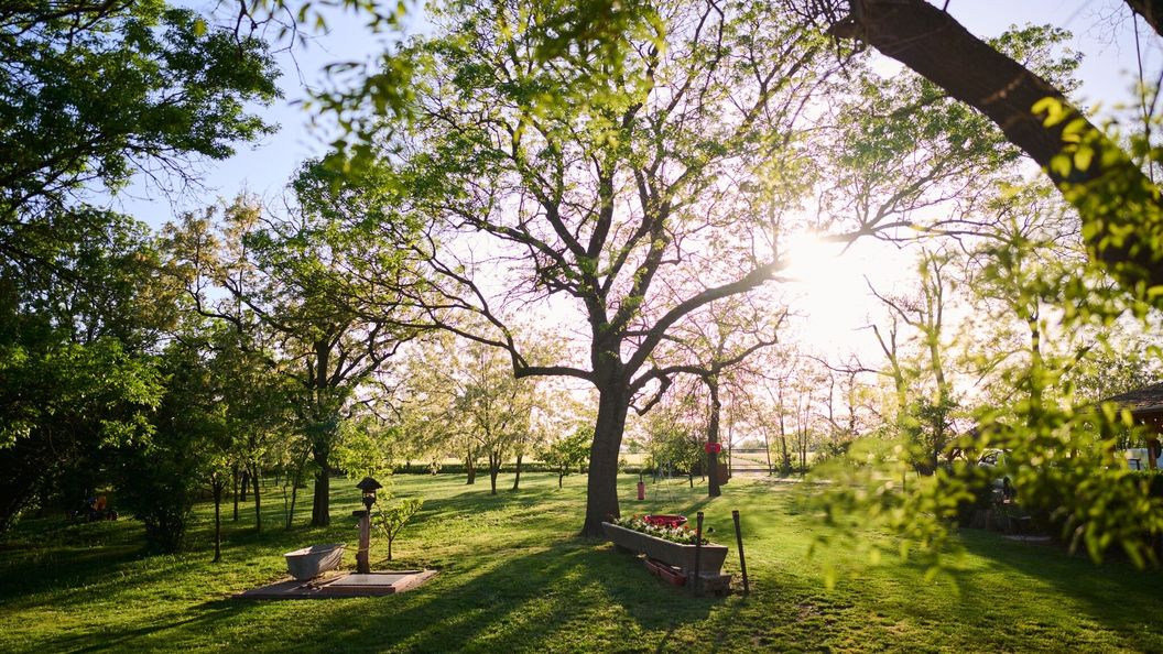 Kőris Tanya Vendégház Hódmezővásárhely (1)