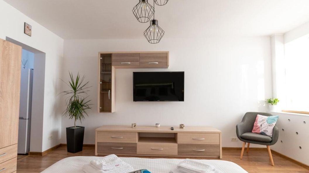 Apartament Ten House Pitești (1)