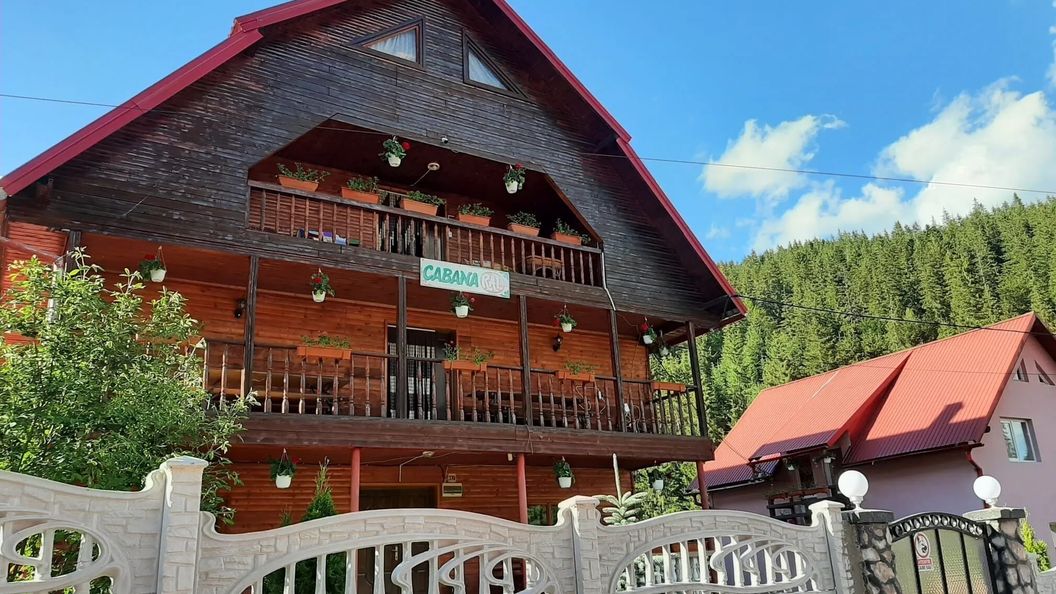 Apartament Ral Arieșeni (1)