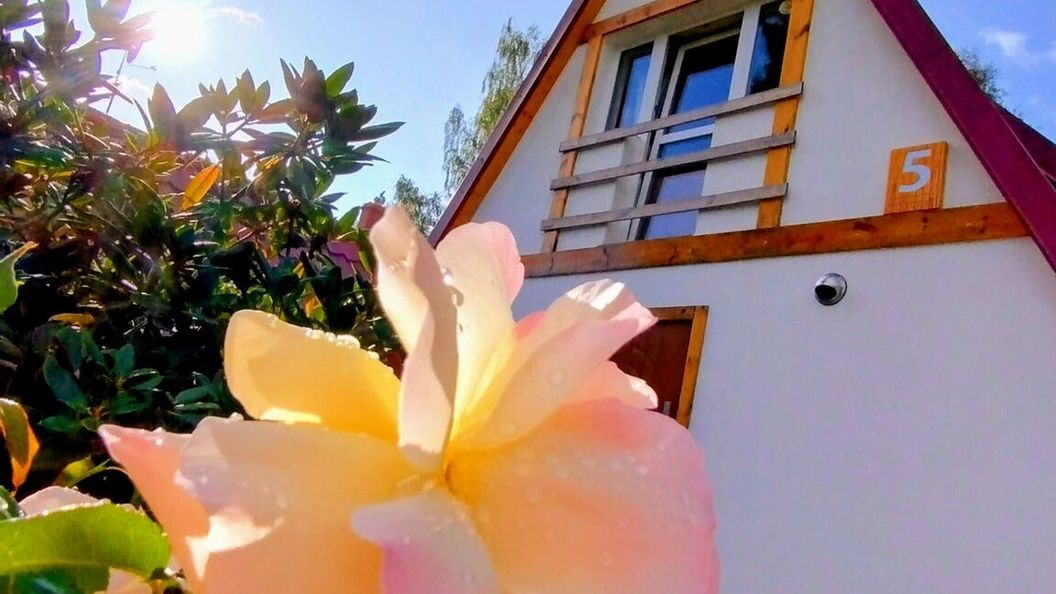 Dom Za zakrętem Rowy (1)